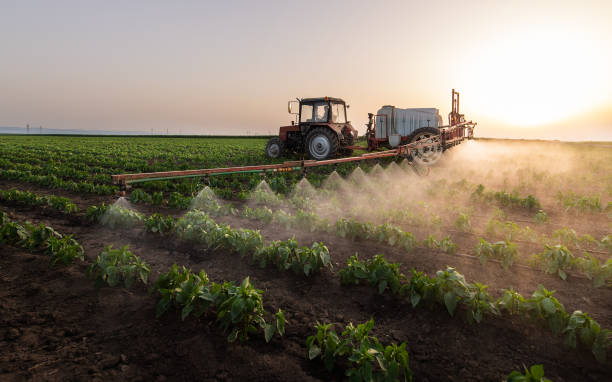 Best Pest Control Treatment  in Lowesville, NC