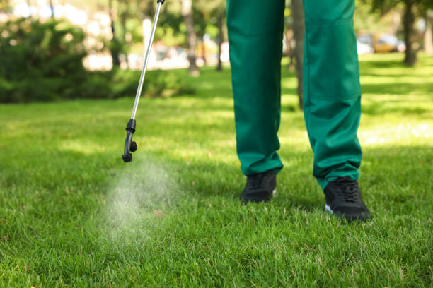 Best Insect Control  in Lowesville, NC