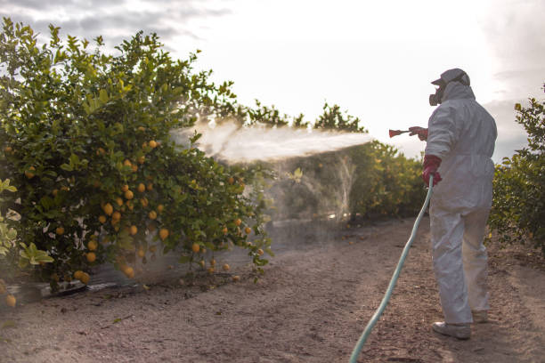 Best Rat Extermination Near Me  in Lowesville, NC
