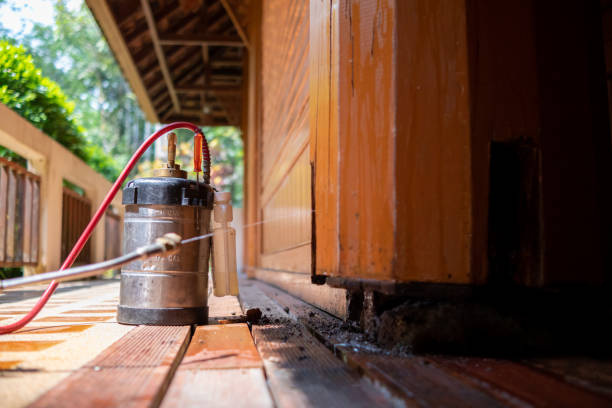 Best Exterminator Services  in Lowesville, NC