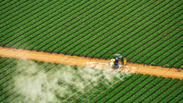 Best Mosquito Control Services  in Lowesville, NC