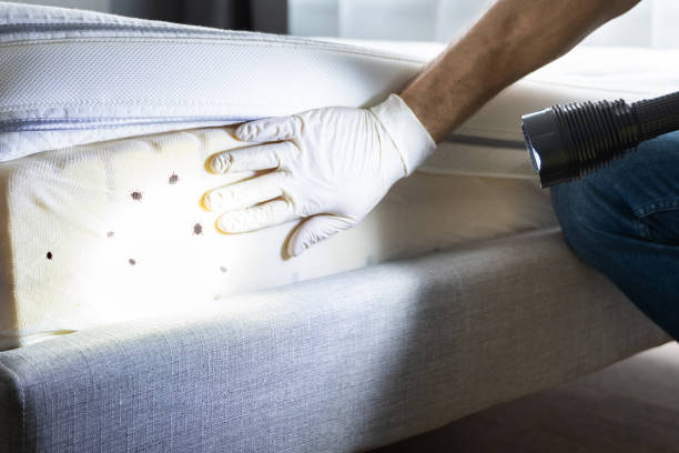 Best Pest Control Near Me  in Lowesville, NC