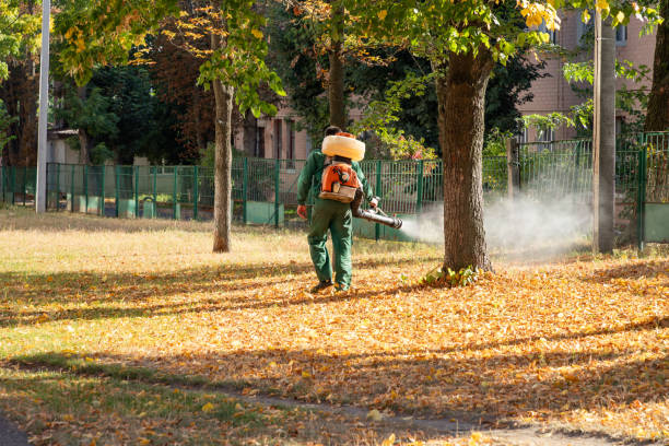 Best Termite Control Services  in Lowesville, NC