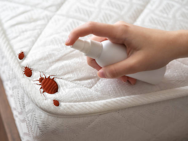 Lowesville, NC Pest Control Company