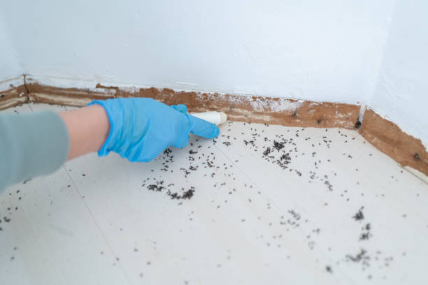 Best Best Pest Control Companies  in Lowesville, NC