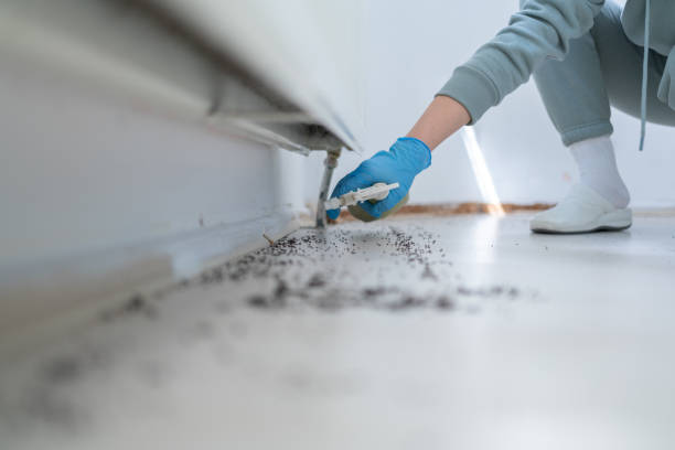 Lowesville, NC Pest Control Company