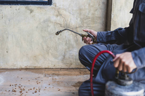 Best Wasp Removal Services  in Lowesville, NC