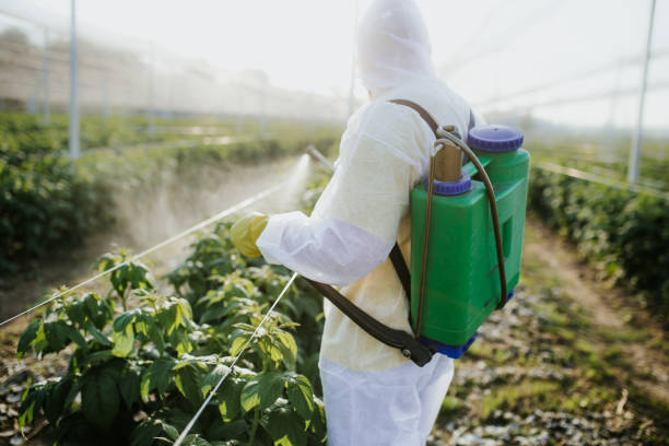 Best Residential Pest Control  in Lowesville, NC